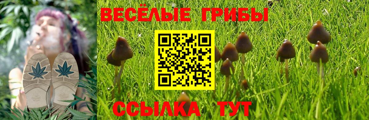 Псилоцибиновые грибы Cubensis  Псилоцибиновые грибы ЛСД  Крымск  Вход с VPN 